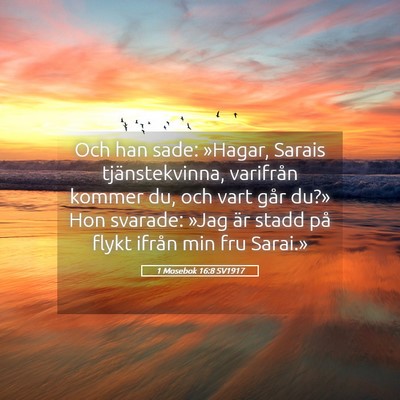 Picture 05 - 1 Mosebok 16:8 SV1917 - Och han sade: »Hagar, Sarais tjänstekvinna, - Bible Verse Picture