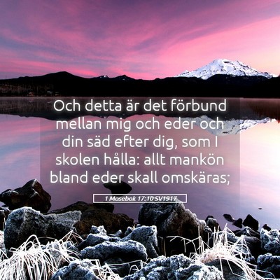 Picture 05 - 1 Mosebok 17:10 SV1917 - Och detta är det förbund mellan mig och eder - Bible Verse Picture