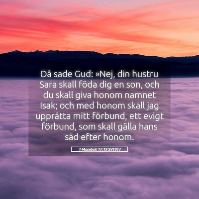 Picture 05 - 1 Mosebok 17:19 SV1917 - Då sade Gud: »Nej, din hustru Sara skall föda - Bible Verse Picture