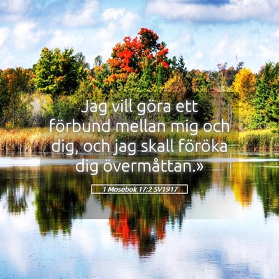 Picture 05 - 1 Mosebok 17:2 SV1917 - Jag vill göra ett förbund mellan mig och dig, - Bible Verse Picture