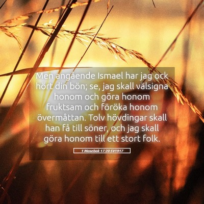 Picture 05 - 1 Mosebok 17:20 SV1917 - Men angående Ismael har jag ock hört din bön; - Bible Verse Picture
