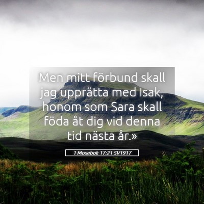 Picture 05 - 1 Mosebok 17:21 SV1917 - Men mitt förbund skall jag upprätta med Isak, - Bible Verse Picture