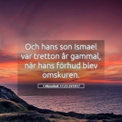 Picture 05 - 1 Mosebok 17:25 SV1917 - Och hans son Ismael var tretton år gammal, när - Bible Verse Picture