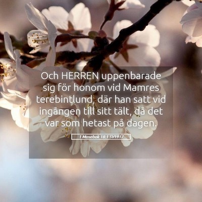 Picture 05 - 1 Mosebok 18:1 SV1917 - Och HERREN uppenbarade sig för honom vid Mamres - Bible Verse Picture