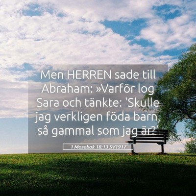 Picture 05 - 1 Mosebok 18:13 SV1917 - Men HERREN sade till Abraham: »Varför log Sara - Bible Verse Picture