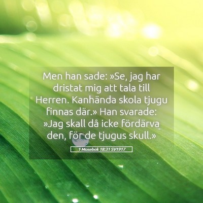 Picture 05 - 1 Mosebok 18:31 SV1917 - Men han sade: »Se, jag har dristat mig att tala - Bible Verse Picture