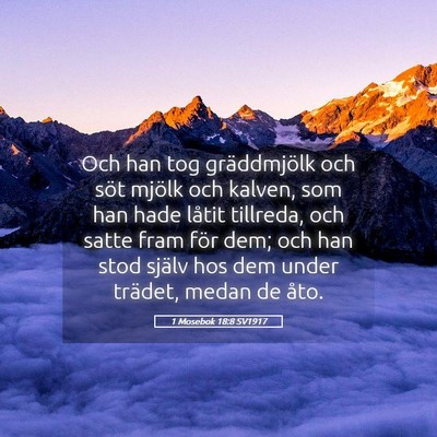 Picture 05 - 1 Mosebok 18:8 SV1917 - Och han tog gräddmjölk och söt mjölk och - Bible Verse Picture