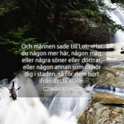 Picture 05 - 1 Mosebok 19:12 SV1917 - Och männen sade till Lot: »Har du någon mer - Bible Verse Picture