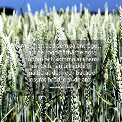 Picture 05 - 1 Mosebok 19:3 SV1917 - Men han bad dem så enträget, att de togo - Bible Verse Picture