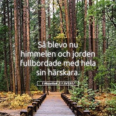 Picture 05 - 1 Mosebok 2:1 SV1917 - Så blevo nu himmelen och jorden fullbordade med - Bible Verse Picture