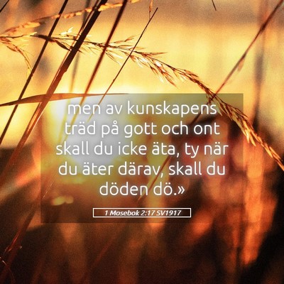 Picture 05 - 1 Mosebok 2:17 SV1917 - men av kunskapens träd på gott och ont skall du - Bible Verse Picture