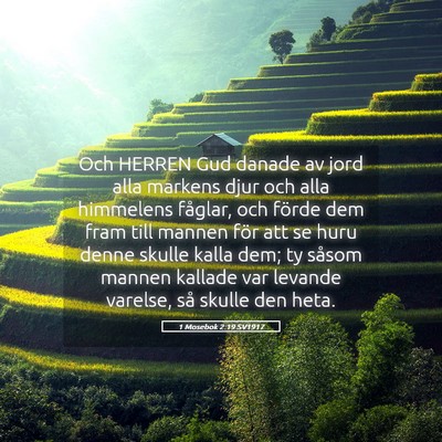 Picture 05 - 1 Mosebok 2:19 SV1917 - Och HERREN Gud danade av jord alla markens djur - Bible Verse Picture