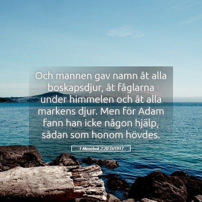 Picture 05 - 1 Mosebok 2:20 SV1917 - Och mannen gav namn åt alla boskapsdjur, åt - Bible Verse Picture