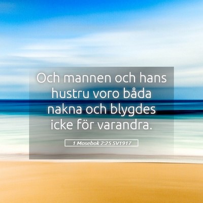 Picture 05 - 1 Mosebok 2:25 SV1917 - Och mannen och hans hustru voro båda nakna och - Bible Verse Picture