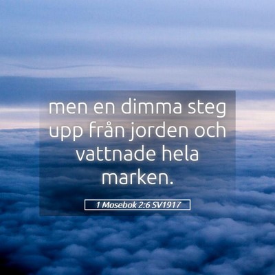 Picture 05 - 1 Mosebok 2:6 SV1917 - men en dimma steg upp från jorden och vattnade - Bible Verse Picture