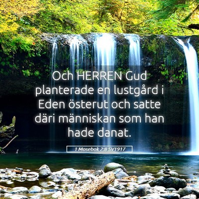 Picture 05 - 1 Mosebok 2:8 SV1917 - Och HERREN Gud planterade en lustgård i Eden - Bible Verse Picture