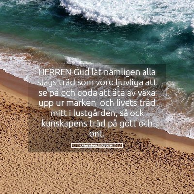 Picture 05 - 1 Mosebok 2:9 SV1917 - HERREN Gud lät nämligen alla slags träd som - Bible Verse Picture