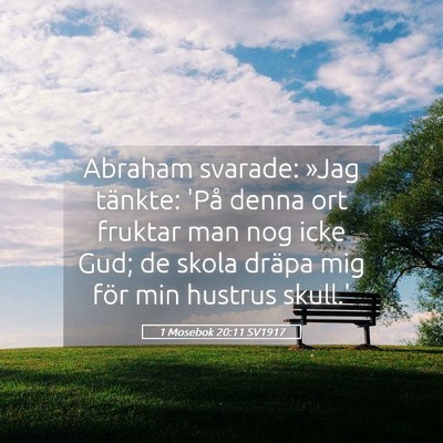 Picture 05 - 1 Mosebok 20:11 SV1917 - Abraham svarade: »Jag tänkte: 'På denna ort - Bible Verse Picture