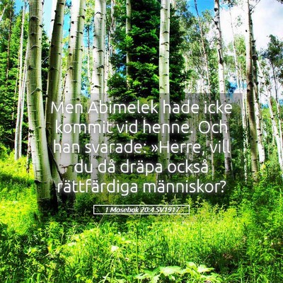 Picture 05 - 1 Mosebok 20:4 SV1917 - Men Abimelek hade icke kommit vid henne. Och han - Bible Verse Picture