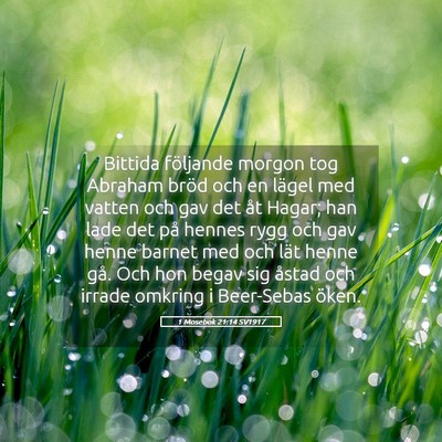Picture 05 - 1 Mosebok 21:14 SV1917 - Bittida följande morgon tog Abraham bröd och en - Bible Verse Picture