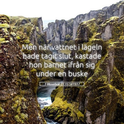 Picture 05 - 1 Mosebok 21:15 SV1917 - Men när vattnet i lägeln hade tagit slut, - Bible Verse Picture