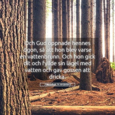 Picture 05 - 1 Mosebok 21:19 SV1917 - Och Gud öppnade hennes ögon, så att hon blev - Bible Verse Picture
