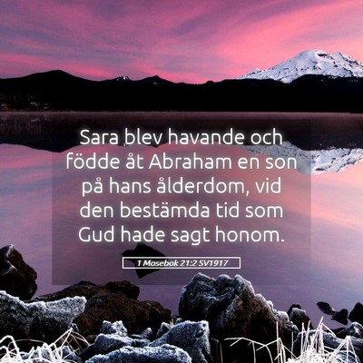 Picture 05 - 1 Mosebok 21:2 SV1917 - Sara blev havande och födde åt Abraham en son - Bible Verse Picture