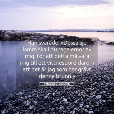 Picture 05 - 1 Mosebok 21:30 SV1917 - Han svarade: »Dessa sju lamm skall du taga emot - Bible Verse Picture