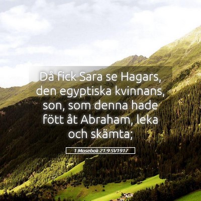 Picture 05 - 1 Mosebok 21:9 SV1917 - Då fick Sara se Hagars, den egyptiska kvinnans, - Bible Verse Picture