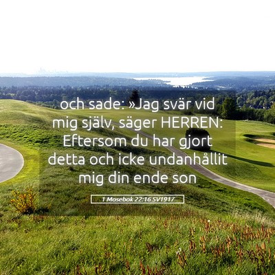 Picture 05 - 1 Mosebok 22:16 SV1917 - och sade: »Jag svär vid mig själv, säger - Bible Verse Picture