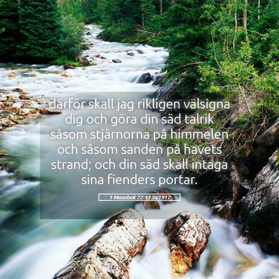 Picture 05 - 1 Mosebok 22:17 SV1917 - därför skall jag rikligen välsigna dig och - Bible Verse Picture