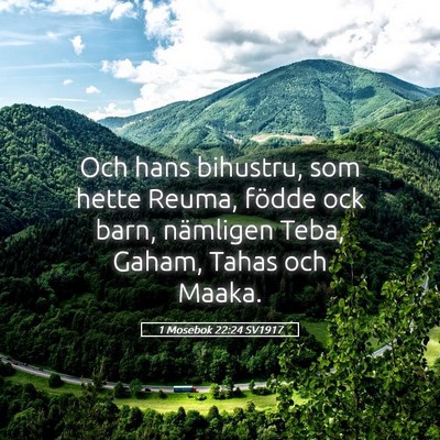 Picture 05 - 1 Mosebok 22:24 SV1917 - Och hans bihustru, som hette Reuma, födde ock - Bible Verse Picture