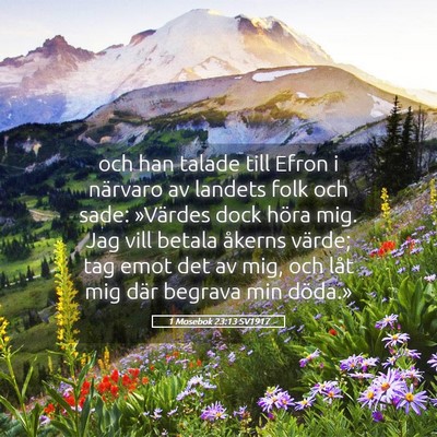 Picture 05 - 1 Mosebok 23:13 SV1917 - och han talade till Efron i närvaro av landets - Bible Verse Picture