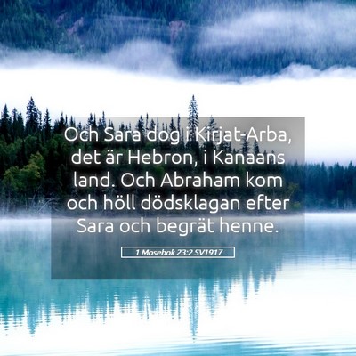 Picture 05 - 1 Mosebok 23:2 SV1917 - Och Sara dog i Kirjat-Arba, det är Hebron, i - Bible Verse Picture