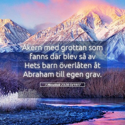 Picture 05 - 1 Mosebok 23:20 SV1917 - Åkern med grottan som fanns där blev så av - Bible Verse Picture