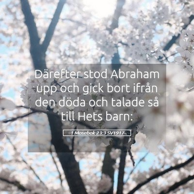Picture 05 - 1 Mosebok 23:3 SV1917 - Därefter stod Abraham upp och gick bort ifrån - Bible Verse Picture