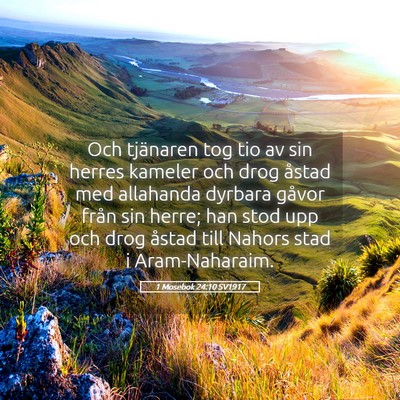 Picture 05 - 1 Mosebok 24:10 SV1917 - Och tjänaren tog tio av sin herres kameler och - Bible Verse Picture
