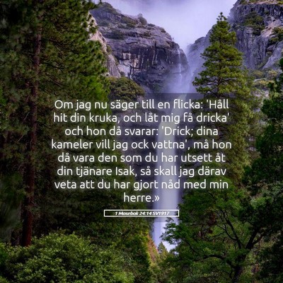 Picture 05 - 1 Mosebok 24:14 SV1917 - Om jag nu säger till en flicka: 'Håll hit din - Bible Verse Picture