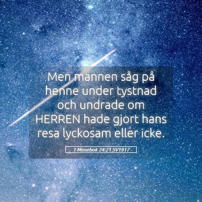 Picture 05 - 1 Mosebok 24:21 SV1917 - Men mannen såg på henne under tystnad och - Bible Verse Picture