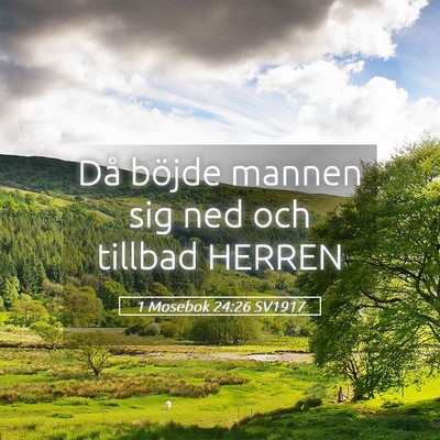 Picture 05 - 1 Mosebok 24:26 SV1917 - Då böjde mannen sig ned och tillbad - Bible Verse Picture