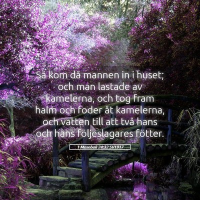 Picture 05 - 1 Mosebok 24:32 SV1917 - Så kom då mannen in i huset; och man lastade av - Bible Verse Picture