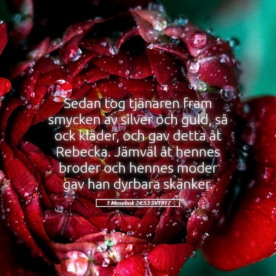 Picture 05 - 1 Mosebok 24:53 SV1917 - Sedan tog tjänaren fram smycken av silver och - Bible Verse Picture
