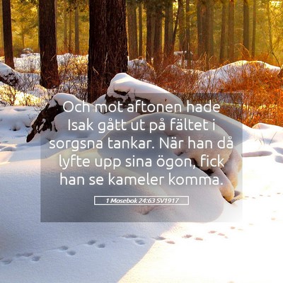 Picture 05 - 1 Mosebok 24:63 SV1917 - Och mot aftonen hade Isak gått ut på fältet i - Bible Verse Picture