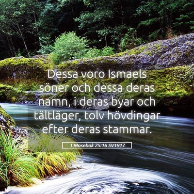 Picture 05 - 1 Mosebok 25:16 SV1917 - Dessa voro Ismaels söner och dessa deras namn, i - Bible Verse Picture
