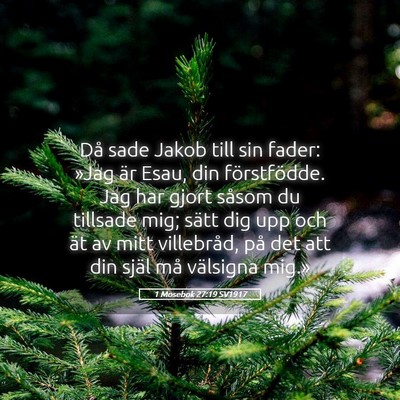 Picture 05 - 1 Mosebok 27:19 SV1917 - Då sade Jakob till sin fader: »Jag är Esau, - Bible Verse Picture
