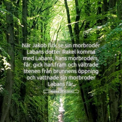 Picture 05 - 1 Mosebok 29:10 SV1917 - När Jakob fick se sin morbroder Labans dotter - Bible Verse Picture