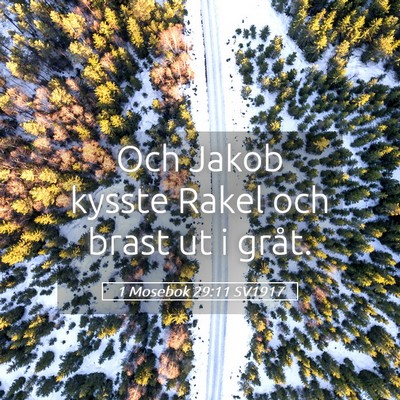 Picture 05 - 1 Mosebok 29:11 SV1917 - Och Jakob kysste Rakel och brast ut i - Bible Verse Picture