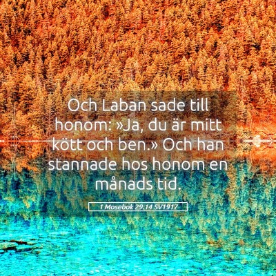 Picture 05 - 1 Mosebok 29:14 SV1917 - Och Laban sade till honom: »Ja, du är mitt - Bible Verse Picture