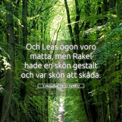 Picture 05 - 1 Mosebok 29:17 SV1917 - Och Leas ögon voro matta, men Rakel hade en - Bible Verse Picture