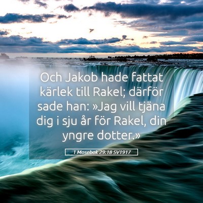 Picture 05 - 1 Mosebok 29:18 SV1917 - Och Jakob hade fattat kärlek till Rakel; - Bible Verse Picture